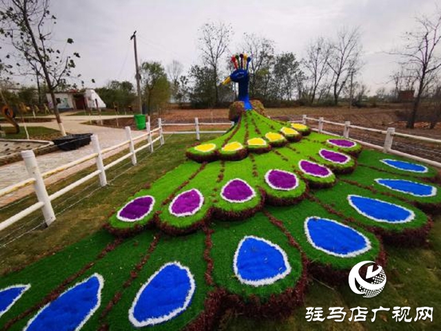 省老新闻工作者协会采访团到正阳彭桥采访