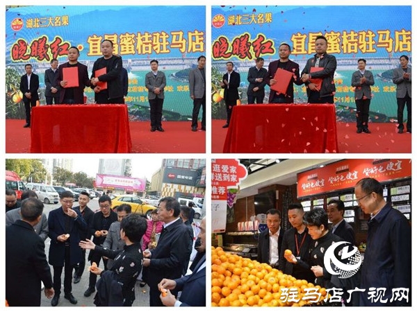 湖北三大名果晓曦红•宜昌蜜桔驻马店农超对接产品推介会在欢乐爱家举行