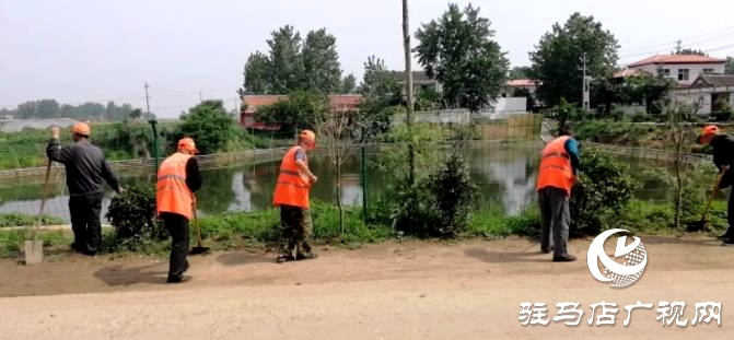 第一书记杨磊：用实干诠释90后的担当
