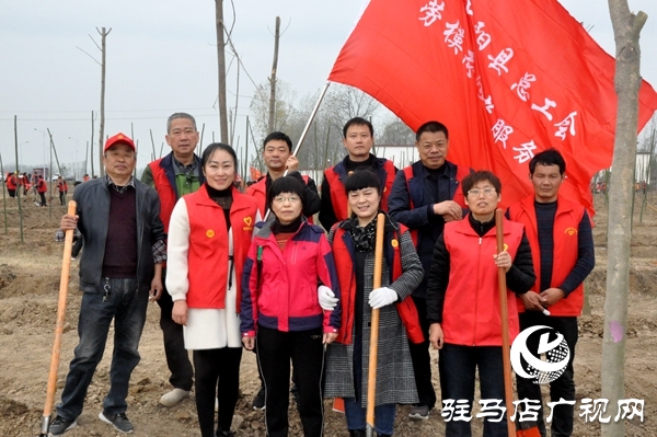 正阳县开展秋冬添新绿义务植树活动