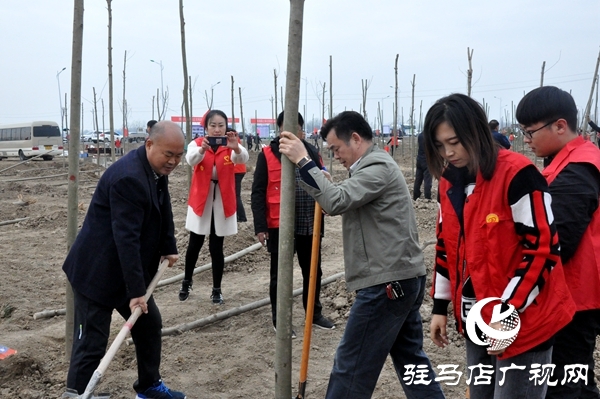 正阳县开展秋冬添新绿义务植树活动