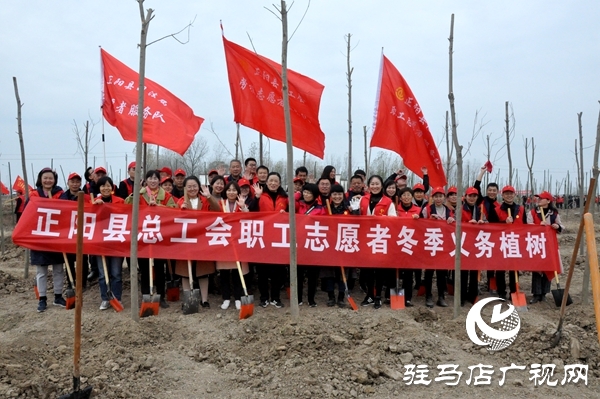 正阳县开展秋冬添新绿义务植树活动