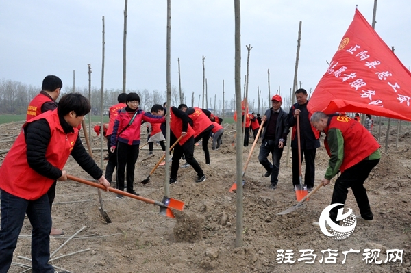 正阳县开展秋冬添新绿义务植树活动