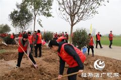 开发区冬季义务植树活动隆重举行