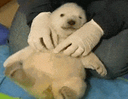 微信图片_20191126082834.gif