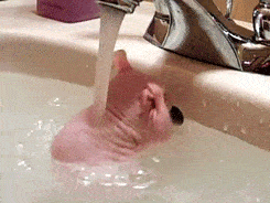 微信图片_20191126082846.gif