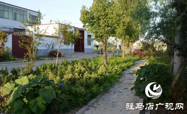 第一书记董禧颖：拆掉隔心墙 把党支部建在群众的心坎上