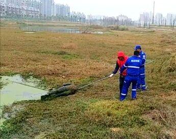 微信图片_20191202075947.jpg