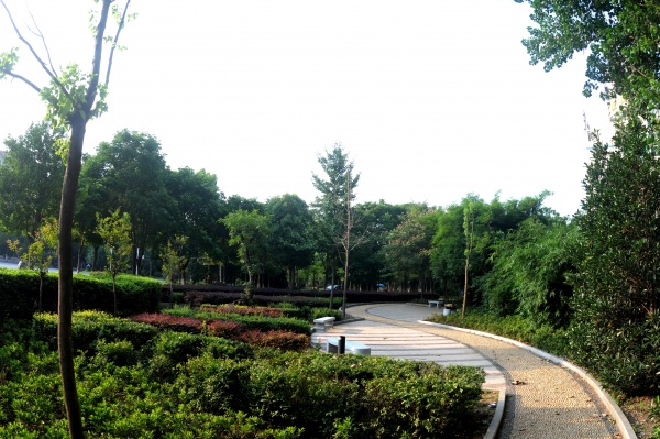 驻马店市又添一座小游园