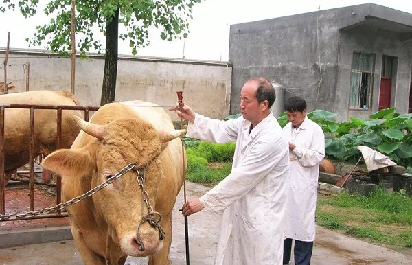 贺振华到泌阳县看望全国最美科技工作者祁兴磊