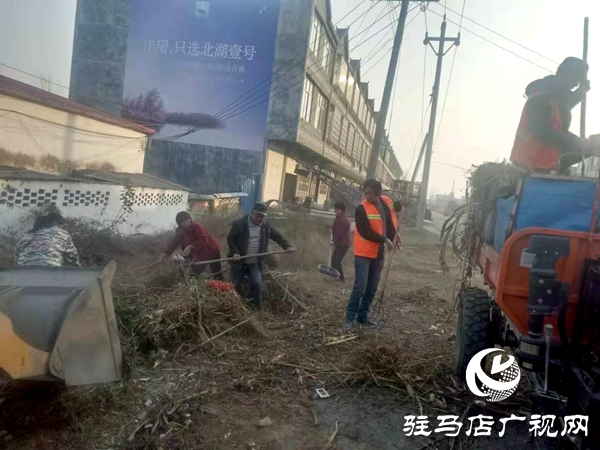 新蔡县杨庄户乡打响环境治理攻坚战