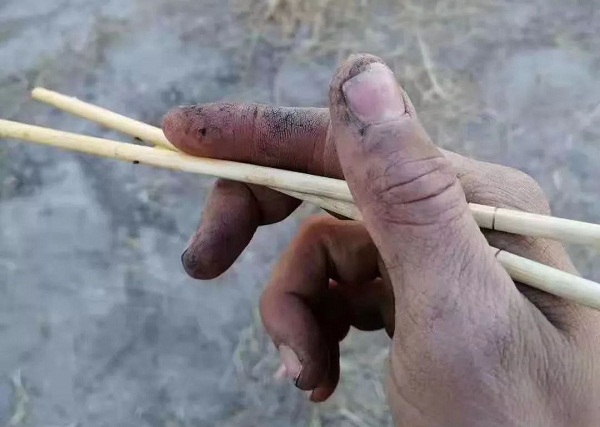 -42℃！你紧握钢枪 却握不住一双筷子