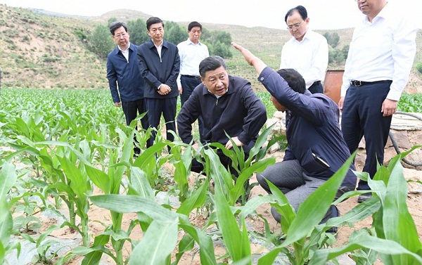 这些话，温暖了2019