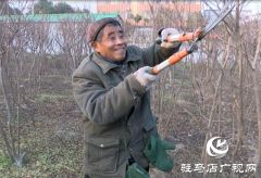 发展苗圃种植  带动贫困户就业