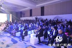 “初见”名媛百合中原地区首秀2020新品发布会惊艳天中