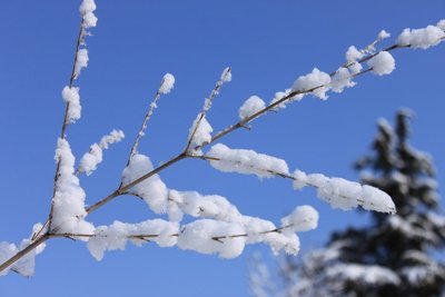 本周驻马店将迎来降雪
