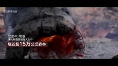 澳洲山火致中国公民被困 我驻悉尼总领馆协助撤离