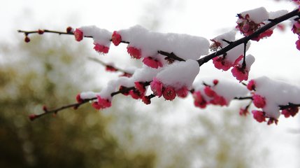 本周雨水多 天较寒  要注意保暖