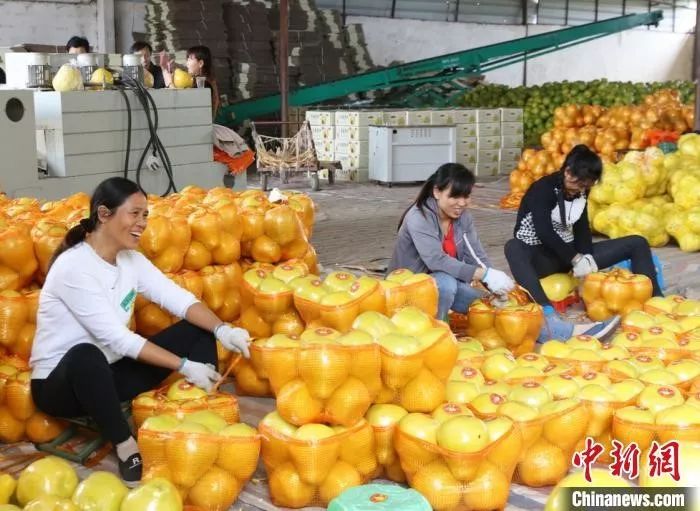 春节猪肉、蔬菜、水果会集体涨价？农业农村部回应