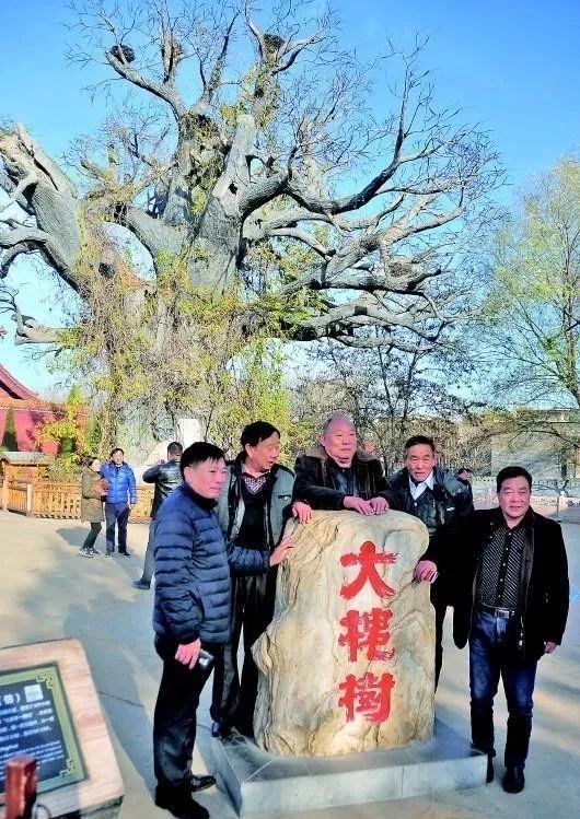 微信图片_20200117091017.jpg