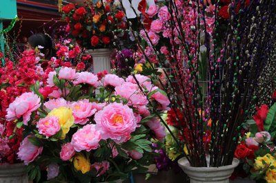 春节将至 花卉俏销