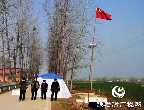 平舆县千名党员冲锋在前  筑牢抗击疫情防线