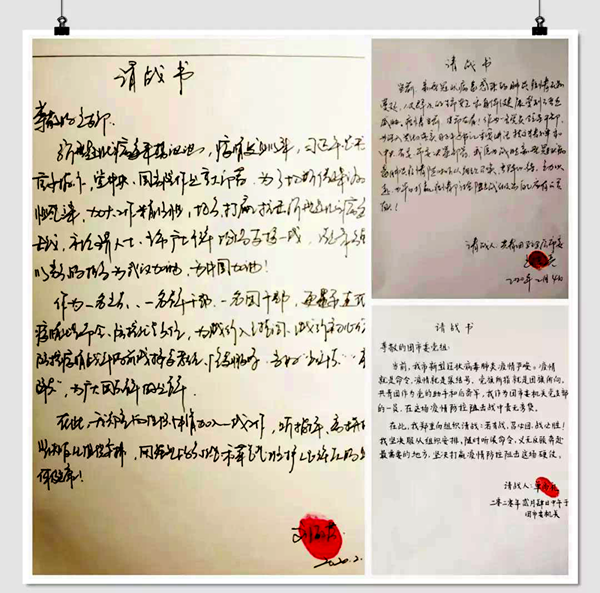 党有号召，团有行动 团市委机关党员走上防疫第一线