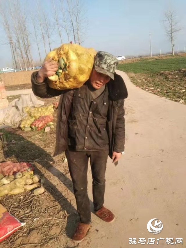 贫困户胡小彬：脱贫不忘报党恩 千斤萝卜赠前线