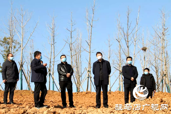 上蔡县委书记胡建辉调研项目企业开工复工工作