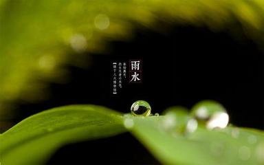 今日雨水