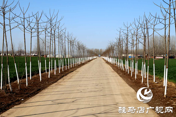 上蔡县百尺乡抢时机忙植树  防疫造林两不误