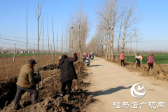 上蔡县百尺乡抢时机忙植树  防疫造林两不误