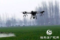 平舆：疫情防控不放松 春耕生产进行时