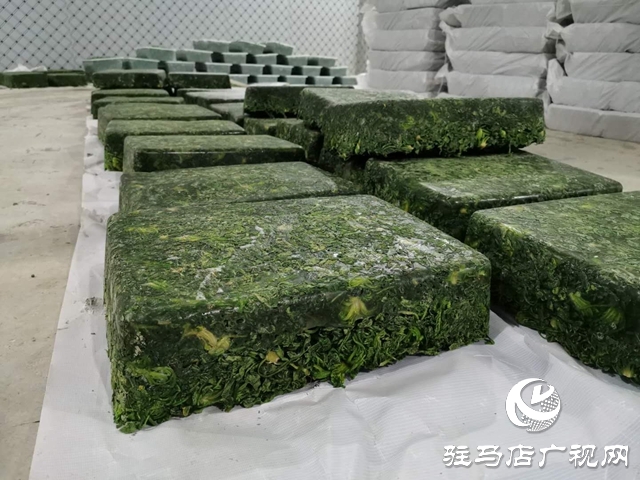 上蔡县朱里镇：打造特色助民致富新产业
