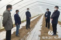 上蔡县领导李卫明督导国土绿化农业产业结构调整等工作