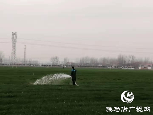 上蔡县洙湖镇：疫情防控和脱贫攻坚两手抓