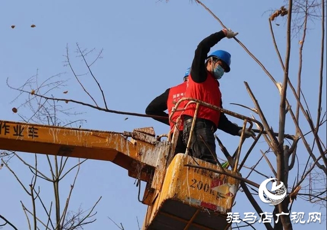 泌阳县供电公司对电力“把脉问诊”助力企业复工复产