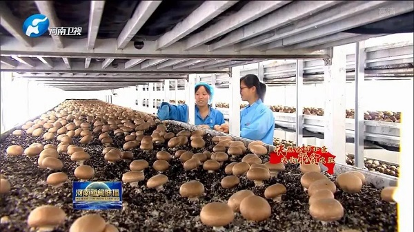 河南53个贫困县全部实现脱贫摘帽 万众一心夺取全面胜利