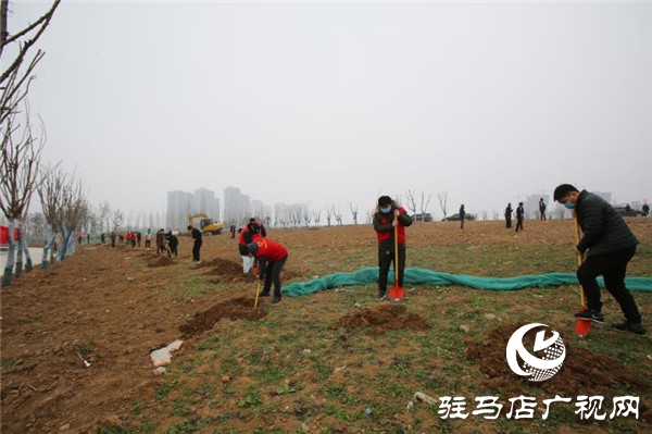开发区疫情防控不松懈  春季绿化争朝夕