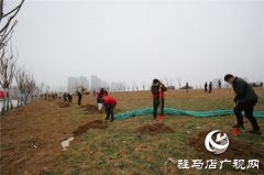开发区疫情防控不松懈  春季绿化争朝夕