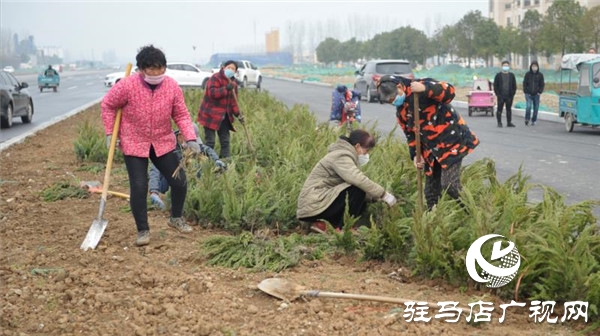 开发区疫情防控不松懈  春季绿化争朝夕