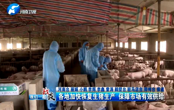 【河南新闻联播】驻马店：加快恢复生猪生产 保障市场有效供给