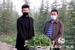 上蔡：文明之花在“疫”线竞相绽放