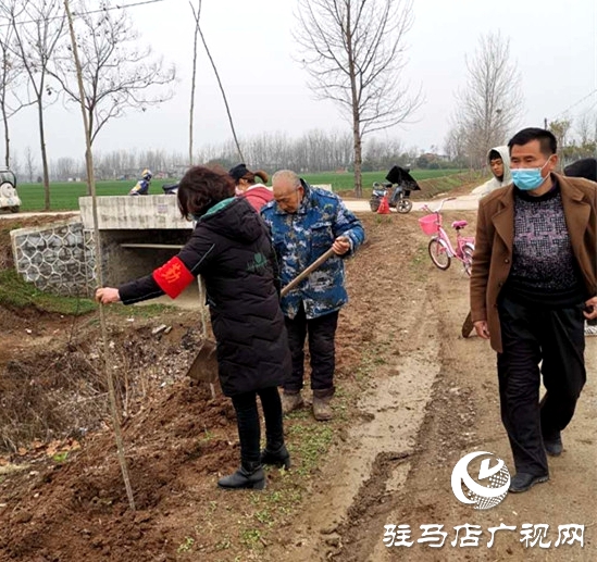 汝南县三桥镇抢抓时机忙植树