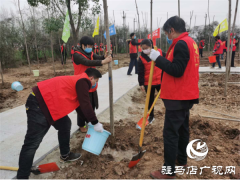 开发区卫计委积极开展植树节志愿服务活动