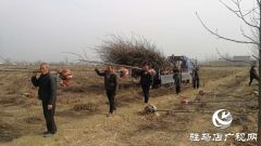 驻马店铭德实业植树造绿助力驿城区诸市镇脱贫攻坚