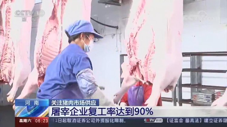 【央视关注河南】加快恢复生猪生产 保障百姓“肉篮子”