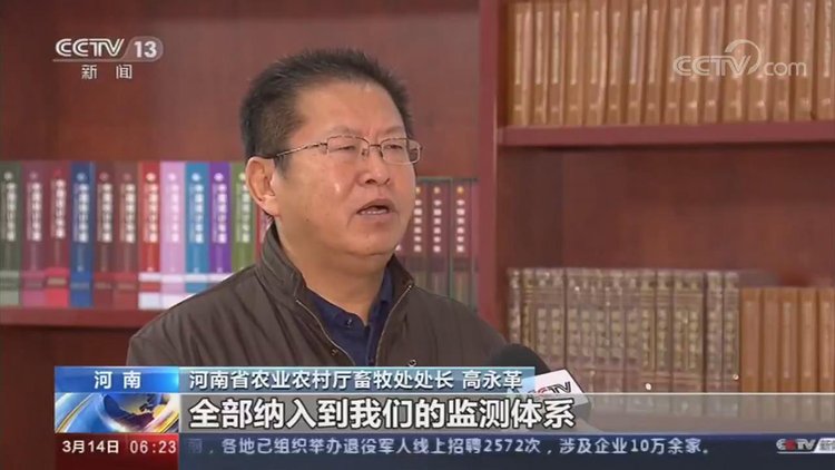 【央视关注河南】加快恢复生猪生产 保障百姓“肉篮子”
