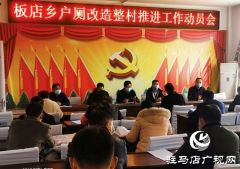 汝南县板店乡多措并举推进农村“厕所革命”