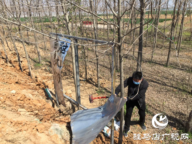上蔡县重阳街道多措并举扎实开展清洁家园活动